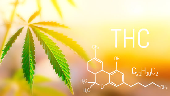 THC-shutterstock_1354872299